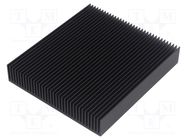 Heatsink: extruded; grilled; black; L: 100mm; W: 90mm; H: 17mm FISCHER ELEKTRONIK