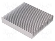 Heatsink: extruded; grilled; natural; L: 100mm; W: 90mm; H: 17mm; raw FISCHER ELEKTRONIK