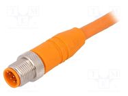 Connection lead; M12; straight; 2m; plug; 250VAC; 4A; -25÷80°C; PVC LUMBERG AUTOMATION