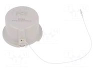 Protection; plug; male; 16A; IEC 60309; IP67; PIN: 4; 3P+PE; screwed PCE