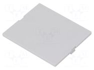 Front panel; without frame,with holder; grey ITALTRONIC