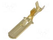 Terminal: flat; 6.3mm; 0.8mm; male; 1÷2.5mm2; crimped; for cable IMP