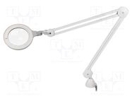 Desk magnifier; with backlight; 3dpt,5dpt; Ø127mm; Ø5"; 8W; 6000K DAYLIGHT COMPANY