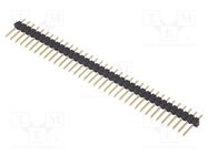 Connector: pin strips; pin header; male; PIN: 36; straight; 2.54mm FISCHER ELEKTRONIK