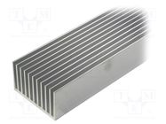 Heatsink: extruded; grilled; natural; L: 1000mm; W: 100mm; H: 60mm FISCHER ELEKTRONIK