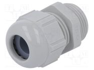 Cable gland; PG13,5; IP68; polyamide; light grey LAPP