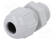 Cable gland; PG9; IP68; polyamide; light grey LAPP