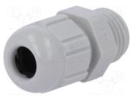 Cable gland; PG7; IP68; polyamide; light grey LAPP