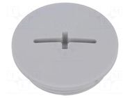 Stopper; M32; 1.5; IP54; polyamide; light grey; SKINDICHT®; 8mm LAPP