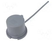 Protection; plug; male; 63A; IEC 60309; IP67; 2P+PE,3P+N+PE,3P+PE PCE