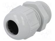 Cable gland; PG13,5; IP68; polyamide; light grey LAPP