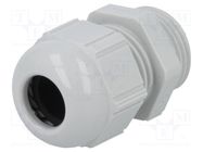 Cable gland; PG11; IP68; polyamide; light grey LAPP