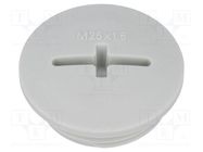 Stopper; M25; 1.5; IP54; polyamide; light grey; SKINDICHT®; 8mm LAPP