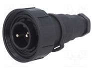 Connector: circular; plug; male; PIN: 2; Standard Buccaneer®; IP68 BULGIN