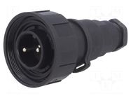 Connector: circular; plug; male; PIN: 2; 12A; 250V; IP68; UL94V-0 BULGIN