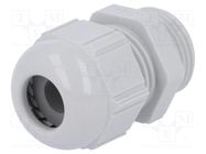 Cable gland; PG11; IP68; polyamide; light grey LAPP