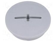 Stopper; M32; 1.5; IP54; polyamide; dark grey; SKINDICHT®; 8mm LAPP