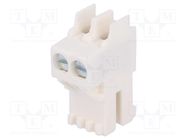 Connector: card edge; RAST 5; plug; female; straight; PIN: 2; 5mm LUMBERG