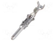 Contact; male; tinned; 0.5÷1mm2; Single Wire Seal (SWS); tape TE Connectivity