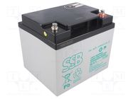 Re-battery: acid-lead; 12V; 40Ah; AGM; maintenance-free; 13kg 