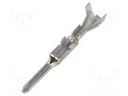 Contact; male; brass; tinned; 28AWG÷22AWG; crimped; for cable; 10A EDAC