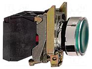 Switch: push-button; 22mm; Stabl.pos: 1; NC + NO; green; LED; 24V SCHNEIDER ELECTRIC