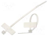 Cable tie; with label; L: 100mm; W: 2.5mm; natural; polyamide FIX&FASTEN