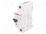 Circuit breaker; 230/400VAC; Inom: 4A; Poles: 1; Charact: C; 10kA ABB