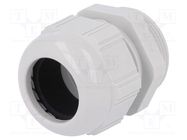 Cable gland; PG29; IP68; polyamide; light grey LAPP