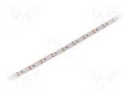 LED tape; white cold; 3528; LED/m: 120; 10mm; white PCB; IP20; 12VDC WISVA OPTOELECTRONICS