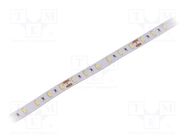 LED tape; white cold; 5630; 24V; LED/m: 60; 12mm; white PCB; IP20 WISVA OPTOELECTRONICS