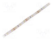 LED tape; white cold; 2835; 12V; LED/m: 60; 8mm; white PCB; IP65 WISVA OPTOELECTRONICS