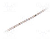 LED tape; white neutral; 3528; LED/m: 120; 10mm; white PCB; IP20 WISVA OPTOELECTRONICS