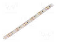 LED tape; white neutral; 3528; 12V; LED/m: 120; 10mm; white PCB WISVA OPTOELECTRONICS