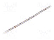 LED tape; white neutral; 5630; 24V; LED/m: 60; 12mm; white PCB; IP20 WISVA OPTOELECTRONICS