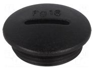 Stopper; PG16; IP54; polyamide; black; V-N-FS; Thread: PG; 6mm HUMMEL