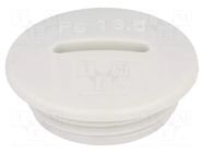 Stopper; PG13,5; IP54; polyamide; grey; V-N-FS; Thread: PG; 6mm HUMMEL
