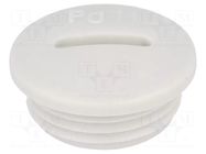 Stopper; PG11; IP54; polyamide; grey; V-N-FS; Thread: PG; 6mm HUMMEL