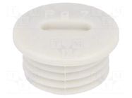 Stopper; PG7; IP54; polyamide; grey; V-N-FS; Thread: PG; 6mm HUMMEL