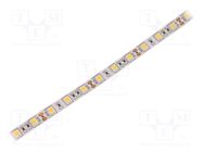 LED tape; white warm; 5050; LED/m: 60; 10mm; white PCB; IP20; 12VDC WISVA OPTOELECTRONICS