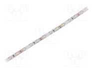 LED tape; white warm; 3528; LED/m: 60; 8mm; white PCB; IP20; 4.8W/m WISVA OPTOELECTRONICS