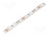 LED tape; blue; 5050; LED/m: 60; 10mm; white PCB; IP20; 14.4W/m WISVA OPTOELECTRONICS