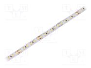 LED tape; white cold; 2835; LED/m: 120; 10mm; white PCB; IP20; 24W/m WISVA OPTOELECTRONICS