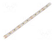 LED tape; white cold; 2835; LED/m: 120; 10mm; white PCB; IP65; 24W/m WISVA OPTOELECTRONICS