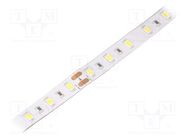 LED tape; white cold; 5630; LED/m: 60; 12mm; white PCB; IP65; 24W/m WISVA OPTOELECTRONICS