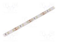 LED tape; white cold; 2835; LED/m: 60; 10mm; white PCB; IP65; 12W/m WISVA OPTOELECTRONICS