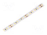 LED tape; white neutral; 2835; LED/m: 120; 10mm; white PCB; IP20 WISVA OPTOELECTRONICS