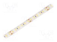 LED tape; white neutral; 2835; LED/m: 120; 10mm; white PCB; IP65 WISVA OPTOELECTRONICS