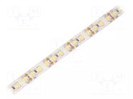 LED tape; white neutral; 2835; LED/m: 120; 10mm; white PCB; IP65 WISVA OPTOELECTRONICS
