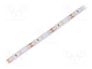 LED tape; white neutral; 2835; LED/m: 60; 10mm; white PCB; IP20 WISVA OPTOELECTRONICS